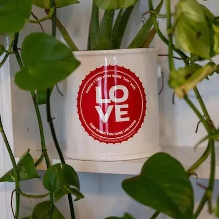 - Your Avant-garde Getaway 公寓 *