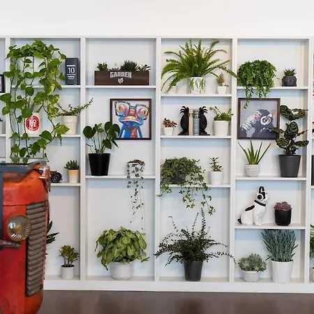 - Your Avant-garde Getaway *