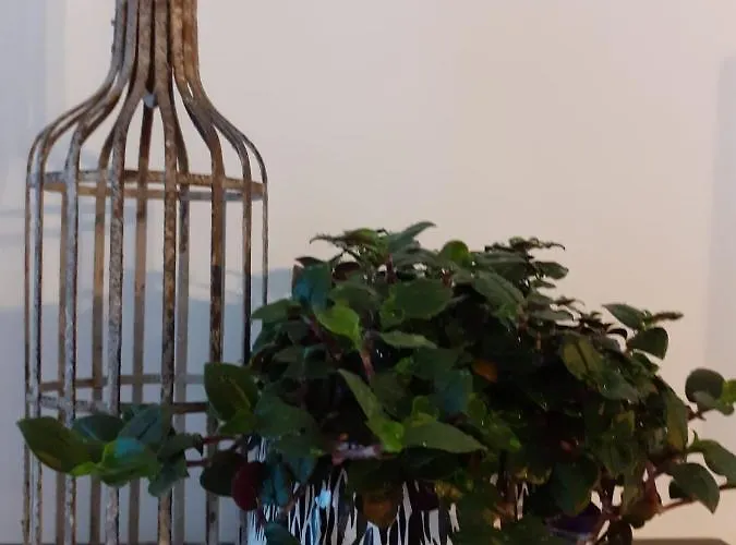 - Your Avant-garde Getaway