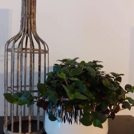 - Your Avant-garde Getaway